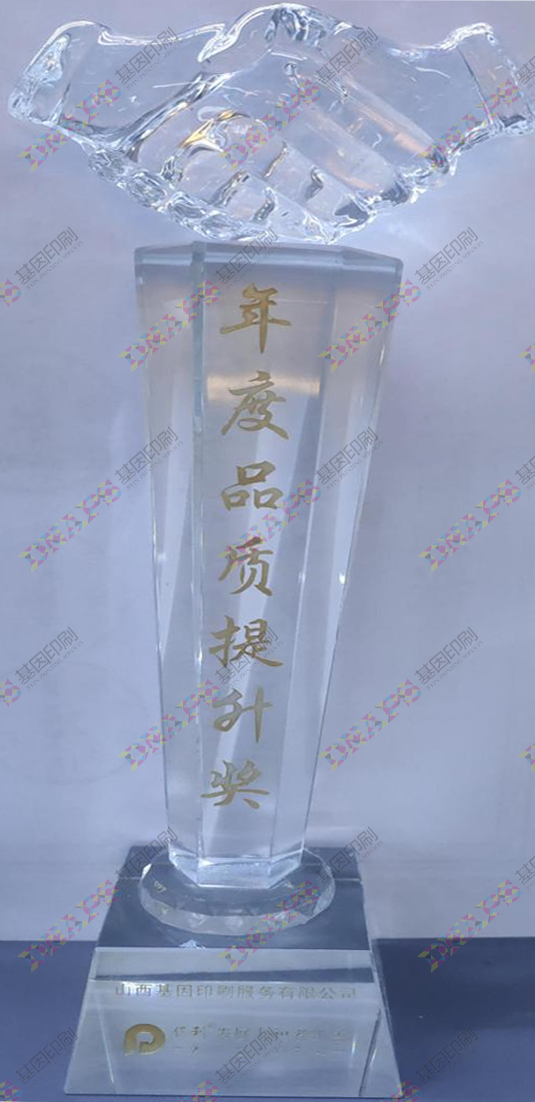 年度品質(zhì)提升獎(jiǎng)